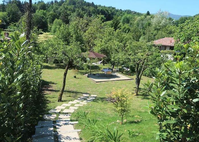 La Casa In Collina *